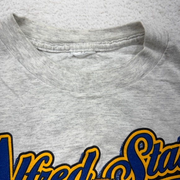 Vintage Alfred State Pioneers Football T Shirt Men's Gray XL Graphic Tee 1995 - Picture 3 of 8